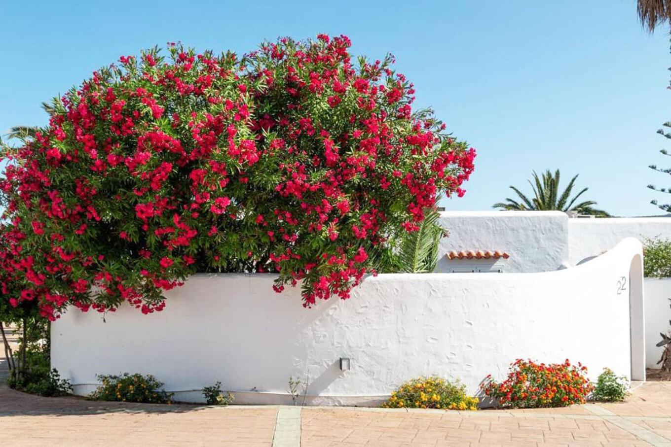Residencial Bogamari Βίλα Σαν Αντόνιο Εξωτερικό φωτογραφία
